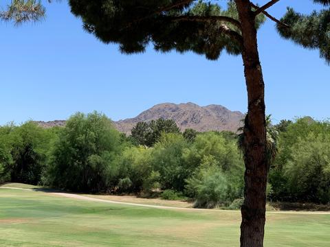 4303 E Cactus Rd #223, Phoenix, AZ 85032 photo 21