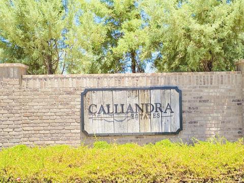 2549 E Vallejo Dr, Gilbert, AZ 85298 photo 70