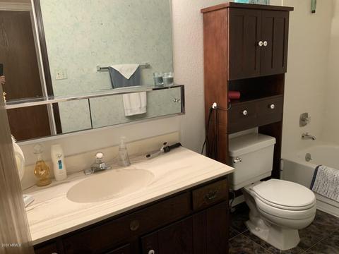 8911 E Princess Dr, Mesa, AZ 85207 photo 26