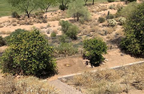 8911 E Princess Dr, Mesa, AZ 85207 photo 31
