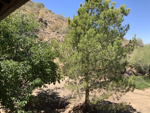 8911 E Princess Dr, Mesa, AZ 85207 photo 32
