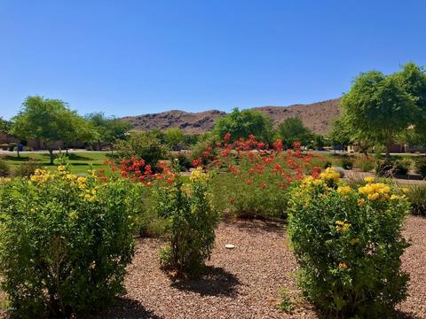 3220 E Branham Ln, Phoenix, AZ 85042 photo 79