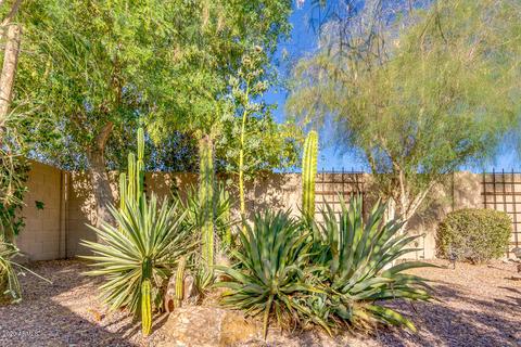 3220 E Branham Ln, Phoenix, AZ 85042 photo 78