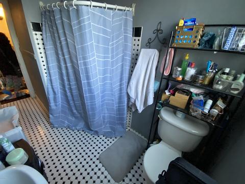 1429 E Brill St, Phoenix, AZ 85006 photo 11