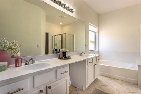 10113 E Lobo Ave, Mesa, AZ 85209 photo 24
