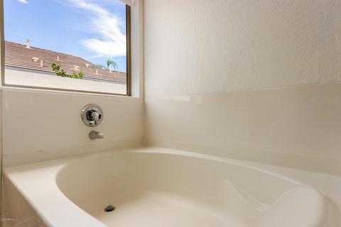 10113 E Lobo Ave, Mesa, AZ 85209 photo 25
