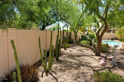 9641 E Gary St, Mesa, AZ 85207 photo 7
