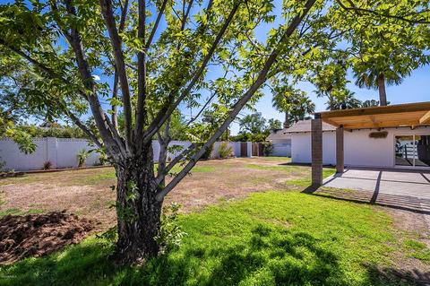 5343 E Avalon Dr, Phoenix, AZ 85018 photo 33