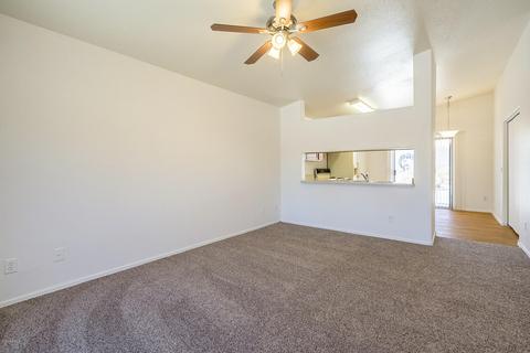 1267 W Diamond Ave, Apache Junction, AZ 85120 photo 5