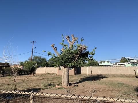 1900 E 9th St, Douglas, AZ 85607 photo 24