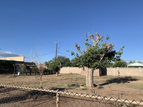 1900 E 9th St, Douglas, AZ 85607 photo 23