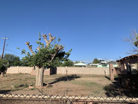 1900 E 9th St, Douglas, AZ 85607 photo 22