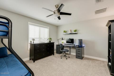 10624 E Sheffield Dr, Mesa, AZ 85212 photo 36