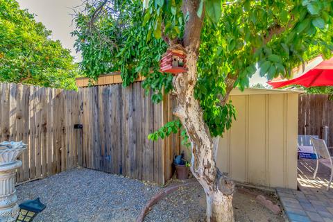 5313 E Dallas St, Mesa, AZ 85205 photo 31
