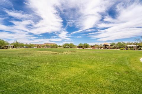 4319 E Mossman Rd, Phoenix, AZ 85050 photo 50