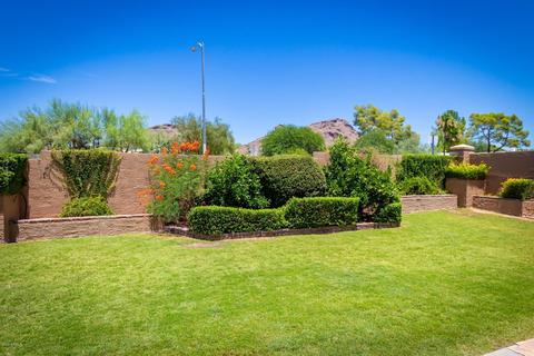 1256 E Redfield Rd, Phoenix, AZ 85022 photo 5