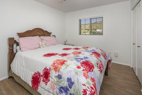 2501 E Allan St, Phoenix, AZ 85042 photo 15