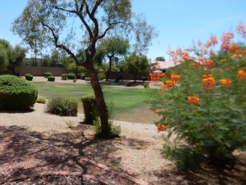 4619 E Meadow Dr, Phoenix, AZ 85032 photo 26