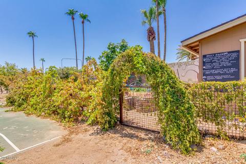 5214 E Saguaro Cir, Phoenix, AZ 85044 photo 61