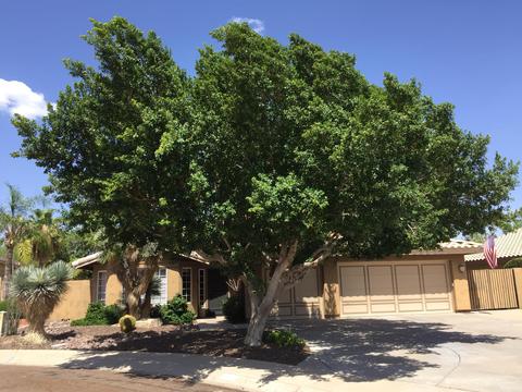 2612 E Verbena Dr, Phoenix, AZ 85048 photo 2