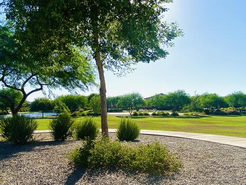 3797 E Strawberry Dr, Gilbert, AZ 85298 photo 84