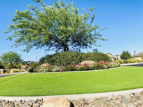 3797 E Strawberry Dr, Gilbert, AZ 85298 photo 83