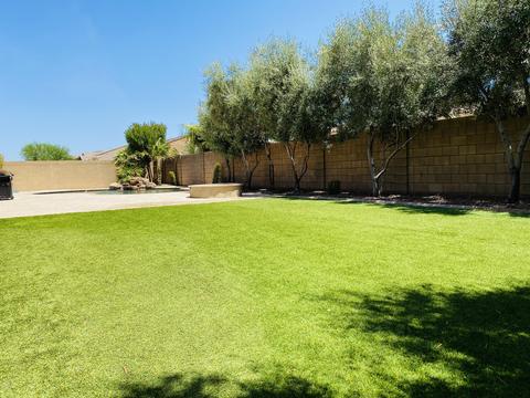 3797 E Strawberry Dr, Gilbert, AZ 85298 photo 71