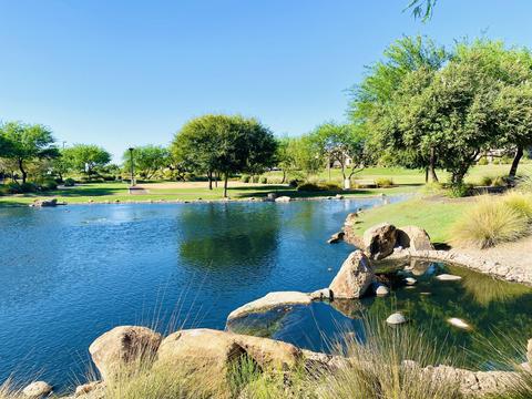 3797 E Strawberry Dr, Gilbert, AZ 85298 photo 81