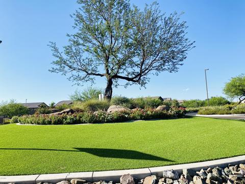 3797 E Strawberry Dr, Gilbert, AZ 85298 photo 78