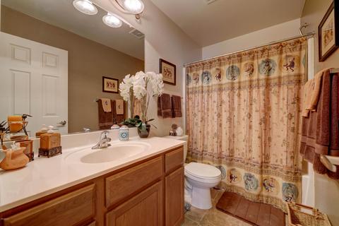 2101 S Meridian Rd #157, Apache Junction, AZ 85120 photo 19