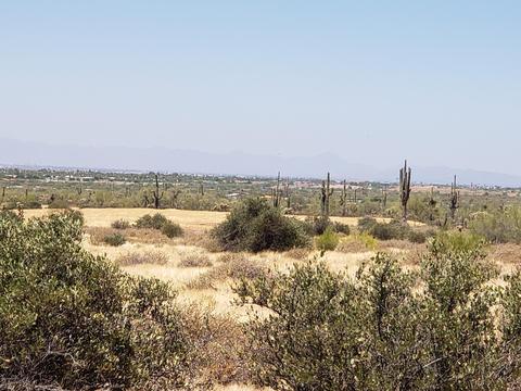 2425 S Baker Dr, Apache Junction, AZ 85119 photo 3