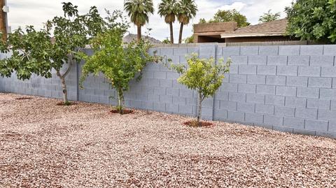 9033 N 18th Ave, Phoenix, AZ 85021 photo 45