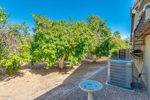 4312 E Hale St, Mesa, AZ 85205 photo 55