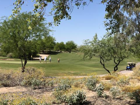 2426 E Darrel Rd, Phoenix, AZ 85042 photo 25