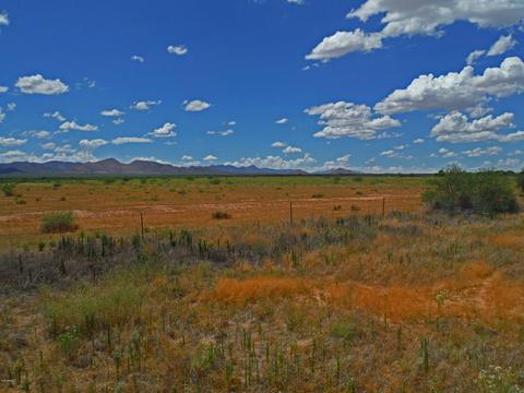 tbd W Webb Rd #-, Elfrida, AZ 85610 photo 8
