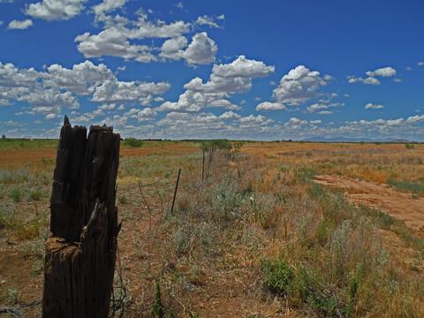 tbd W Webb Rd #-, Elfrida, AZ 85610 photo 28