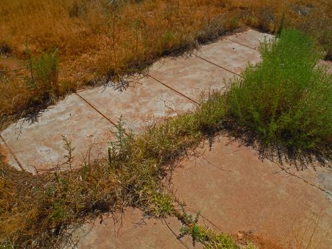 tbd W Webb Rd #-, Elfrida, AZ 85610 photo 10