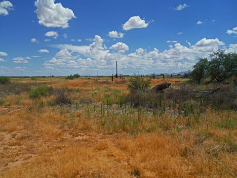 tbd W Webb Rd #-, Elfrida, AZ 85610 photo 11