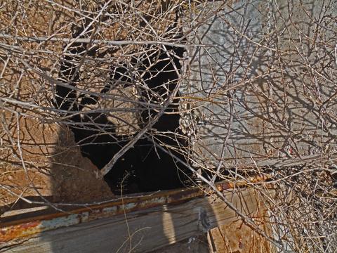 tbd W Webb Rd #-, Elfrida, AZ 85610 photo 17