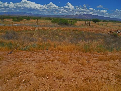 tbd W Webb Rd #-, Elfrida, AZ 85610 photo 14