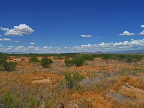 tbd W Webb Rd #-, Elfrida, AZ 85610 photo 6