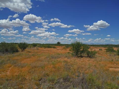 tbd W Webb Rd #-, Elfrida, AZ 85610 photo 7
