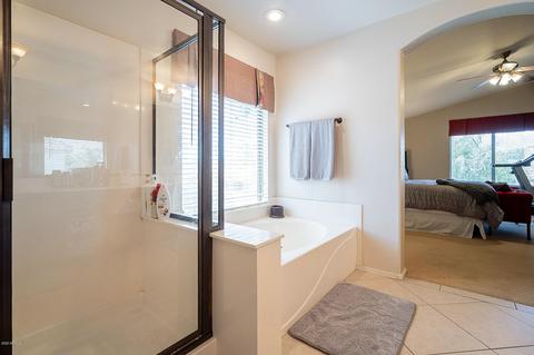9602 E Nido Ave, Mesa, AZ 85209 photo 32