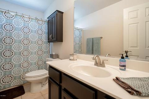 9602 E Nido Ave, Mesa, AZ 85209 photo 41