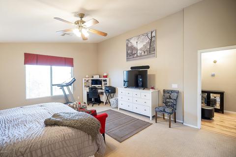 9602 E Nido Ave, Mesa, AZ 85209 photo 30