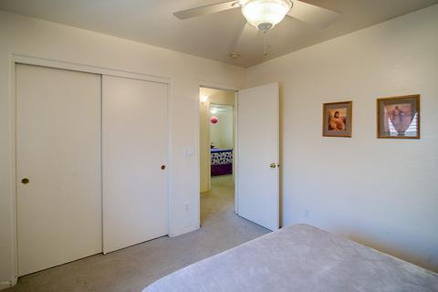 10063 E Calypso Cir, Mesa, AZ 85208 photo 26