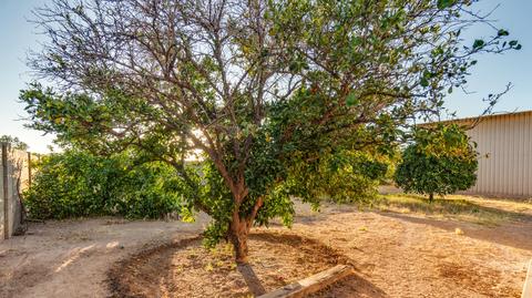 9026 E Florian Ave, Mesa, AZ 85208 photo 56