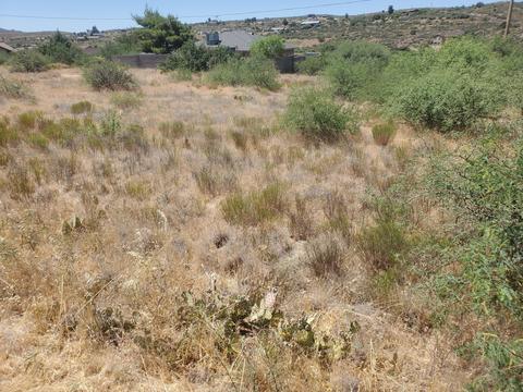 20085 E Antelope Rd #1044, Mayer, AZ 86333