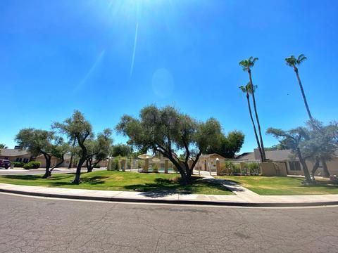 3017 E Siesta Ln, Phoenix, AZ 85050 photo 22