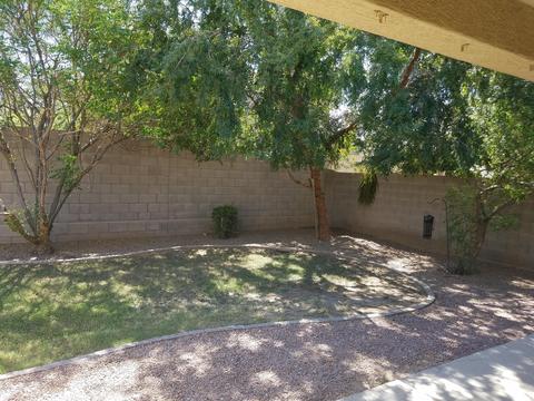 1561 E Lark St, Gilbert, AZ 85297 photo 8